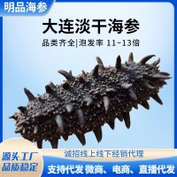 大連底播淡干海參50g 非即食家用散裝海參干貨 廠家批發(fā)直播代發(fā)