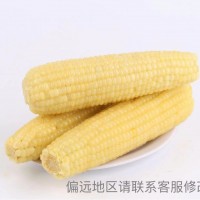 特等白珍珠糯玉米10支裝品質(zhì)不變保溫箱＋冰袋獨立包裝