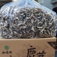 直銷(xiāo)如意情鹿茸菇干貨凈重10斤裝益品如意吉源頭鹿茸菌如意康餐飲
