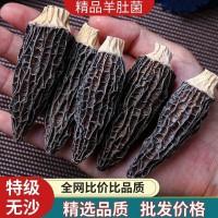 古田食用菌精選頭茬優(yōu)質(zhì)羊肚菌干貨10g大小包裝規(guī)格各類(lèi)平臺(tái)代發(fā)