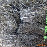 供應(yīng)無(wú)沙干海帶絲 加工長(zhǎng)絲 質(zhì)量好絲 干絲