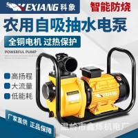 廠家農(nóng)用DSU大流量自吸泵灌溉CHP高壓220伏兩相380V三相電機(jī)水泵