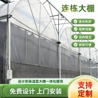 農(nóng)業(yè)外遮陽溫室大棚連棟連體大棚拱棚恒溫大棚植物藍(lán)莓苗種植大棚