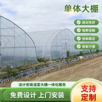 農(nóng)業(yè)內(nèi)保溫溫室大棚骨架遮陽溫室圓拱形薄膜溫室大棚單體大棚遮陽