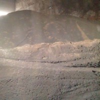 銷售中性有機(jī)肥原料 海藻渣 高含量低水分 發(fā)酵原料 PH值7