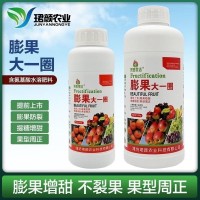 珺顏膨果大一圈果樹蔬菜膨果素膨果防裂美果增甜