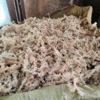 批發(fā)大包優(yōu)質干水苔蘭花石斛食蟲植物保濕爬寵墊底專用干水苔