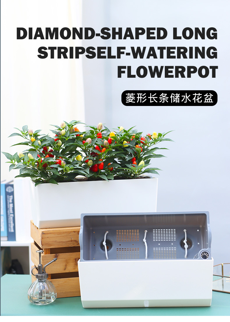 A203-菱形長條儲(chǔ)水花盆_01.jpg