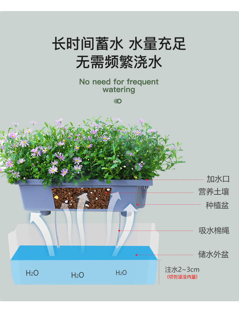 A203-菱形長條儲(chǔ)水花盆_06.jpg