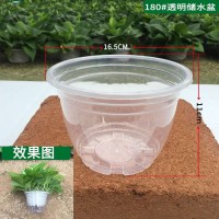 180綠蘿花盆透明儲水盆 盆栽花卉懶人花盆綠籮花盆自動吸水盆批發(fā)