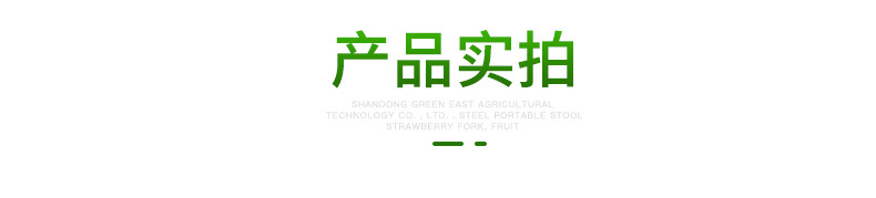 精品切片_03.jpg