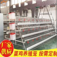 A型H型雞籠三層四層蛋雞籠雞舍養(yǎng)殖籠鍍鋅熱鍍鋅雞籠自動(dòng)飲水清糞
