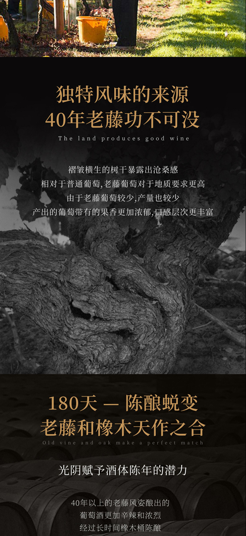 詳情03.jpg