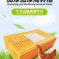 雞筐加厚原料出口款 塑料雞鴨鵝運輸籠 養(yǎng)殖雞用周轉(zhuǎn)箱 運輸雞鵝