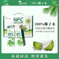 椰小帽椰子水nfc鮮榨純椰子250ml*10瓶一箱100%果汁椰汁飲料零添
