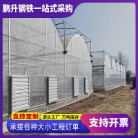 春秋冷棚單體薄膜大棚插地棚農(nóng)業(yè)家用種植棚骨架廠家設(shè)計(jì)加工全套