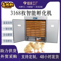 源頭廠家跨境全自動(dòng)智能大型孵化機(jī)incubator家用型雞 蛋孵化器