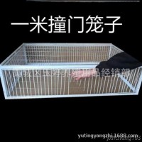 天落籠加密只進(jìn)不出鴿子籠自動(dòng)捕雞網(wǎng)雀鳥籠活絡(luò)撞門籠收鴿器