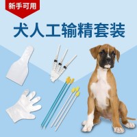 犬用一次性輸精套裝犬人工授精配種用套裝海綿頭輸精管