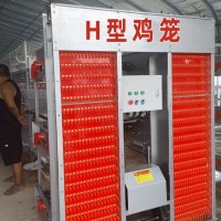 肉蛋雞籠生產(chǎn)廠家 養(yǎng)雞設(shè)備階梯式蛋雞籠 雞籠家用全自動(dòng)養(yǎng)雞設(shè)備