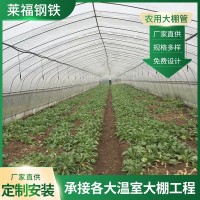設(shè)計(jì)溫室大棚花卉蔬菜大棚單體養(yǎng)殖大棚骨架農(nóng)業(yè)種植蔬菜大棚廠家