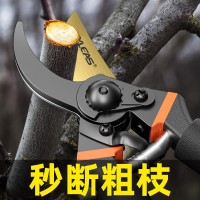 園藝剪刀批發(fā)果樹修枝剪園林粗枝剪樹枝用的剪刀花藝修枝剪摘果剪